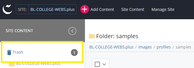 Trash bin screenshot
