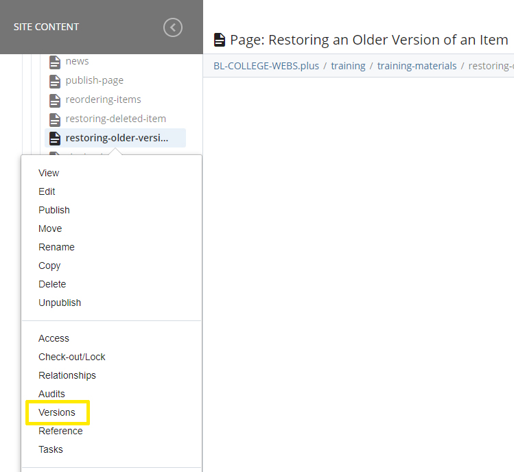 Versions option screenshot